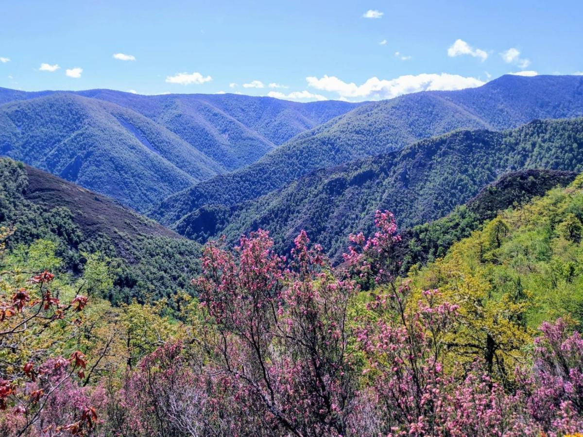 ホテル Casa Ponce Posada de Rengos エクステリア 写真